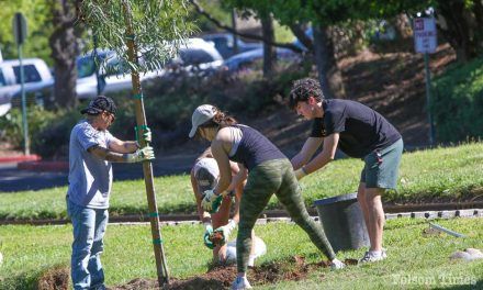 Volunteers sought for Folsom’s Earth Day celebration, projects