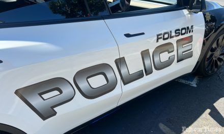 Elder abuse, child endangerment, prowling among Folsom crime calls