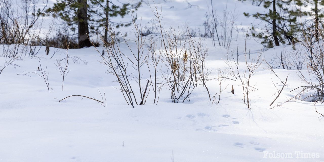 El Dorado County announces school closures, delays due to snow