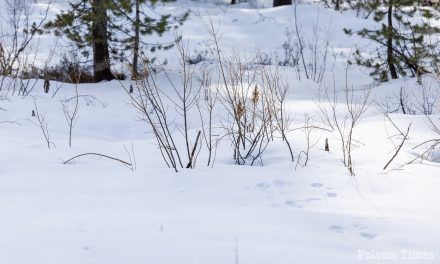 El Dorado County announces school closures, delays due to snow