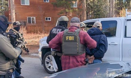 Federal, state authorities arrest 8 felons in El Dorado County operation