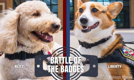 Folsom Police, Fire gear up for Battle of the Badges Blood Drive