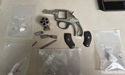 Routine Folsom Police assist leads to drug, firearm arrest
