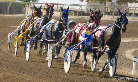 End of an era: Cal Expo harness racing takes its final lap