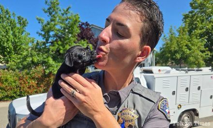 Paw-sitive Rescue: Folsom Officer rescues abandoned puppy from park