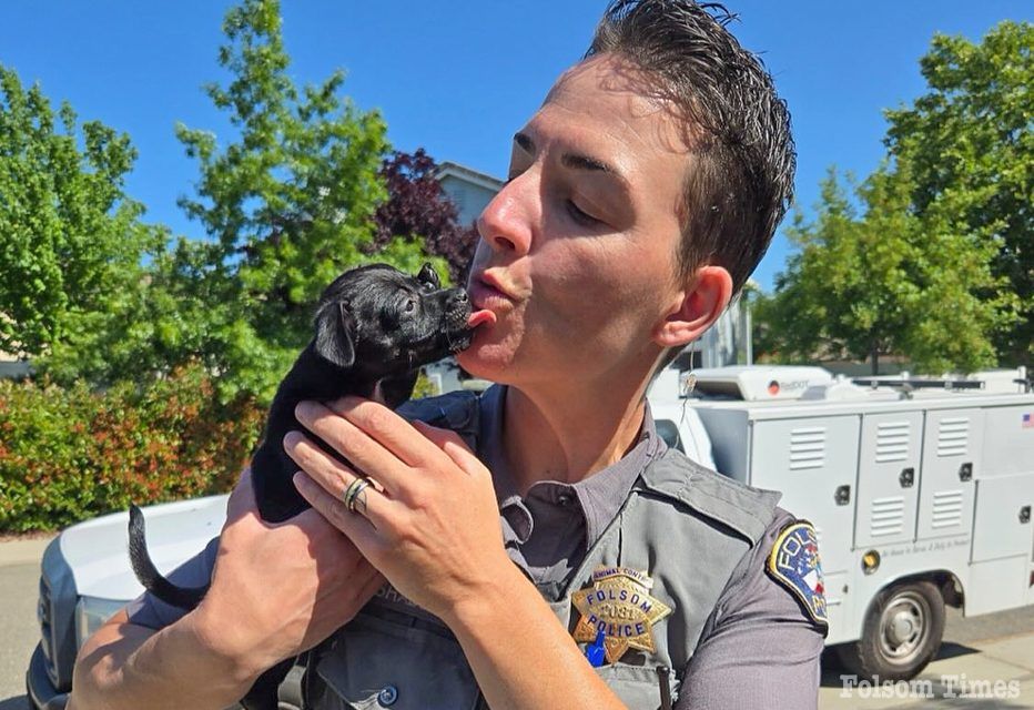 Paw-sitive Rescue: Folsom Officer rescues abandoned puppy from park