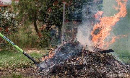 Residential burn permits suspended across region as fire risk rises