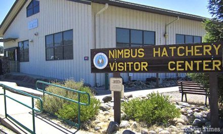 Budget Woes Force Nimbus Fish Hatchery to Close Visitor Center as of July 1