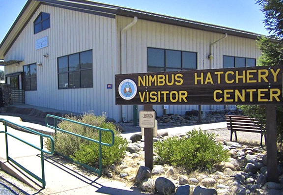 Budget Woes Force Nimbus Fish Hatchery to Close Visitor Center as of July 1