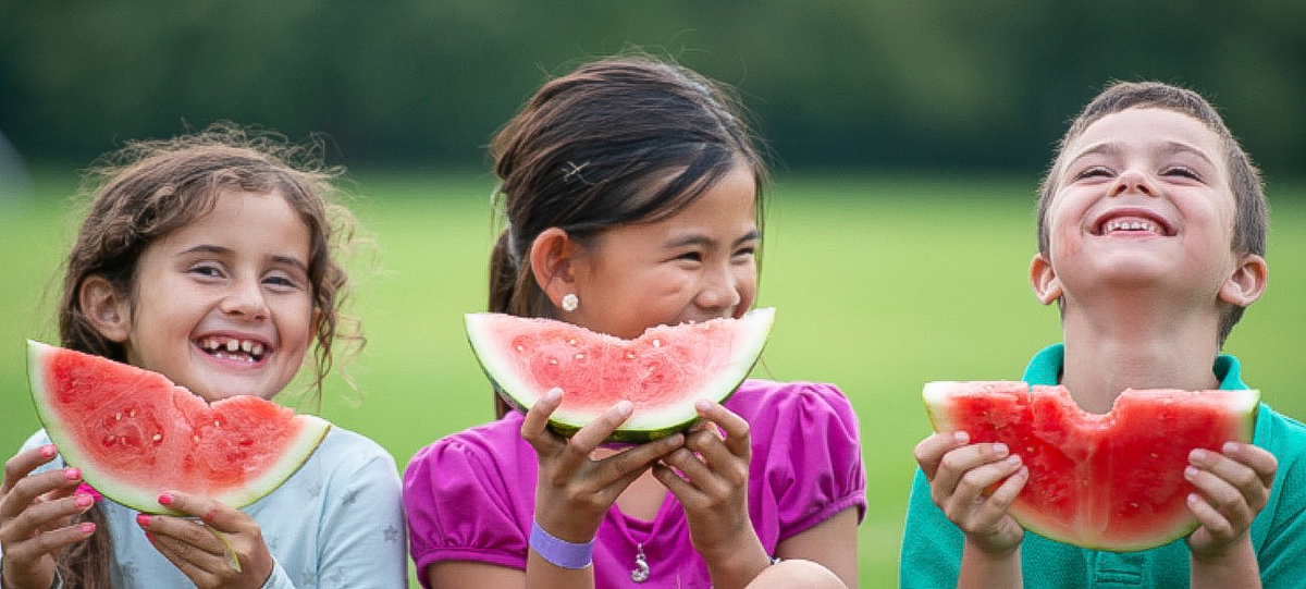 CDSS relaunches summer food program in Sac County