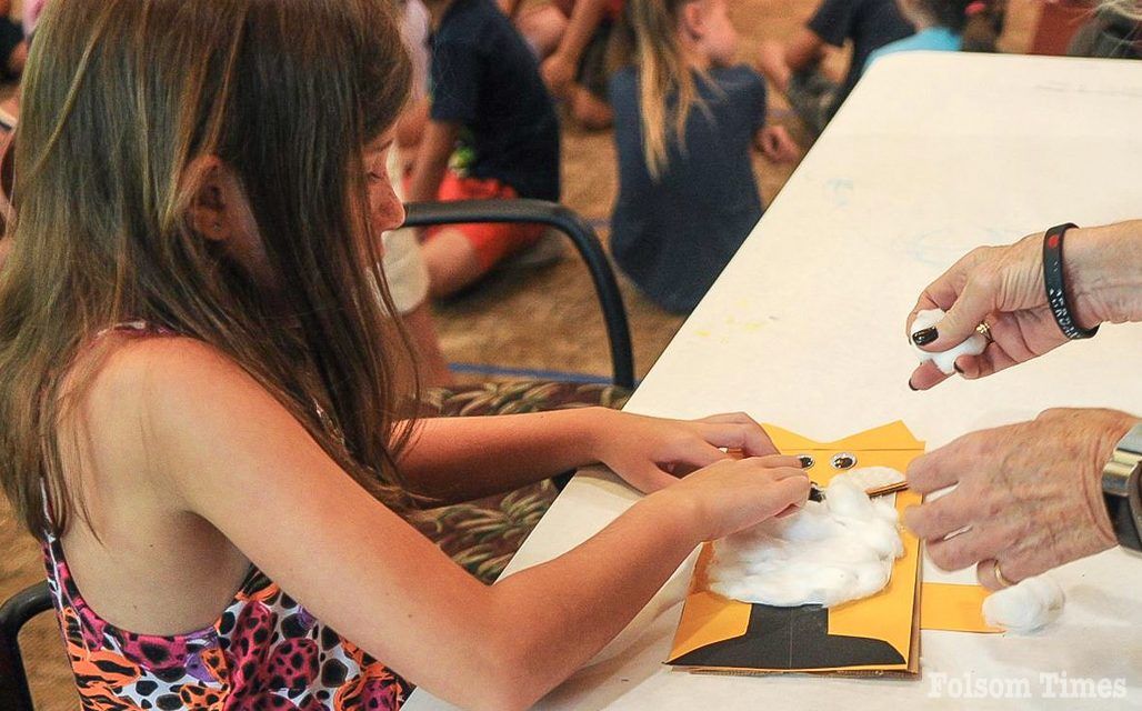 Zoo Camp, Movie Night bringing family fun to Folsom City Zoo Sanctuary