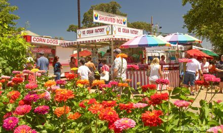 Get ready for tradition, charm and fun at the Amador County Fair