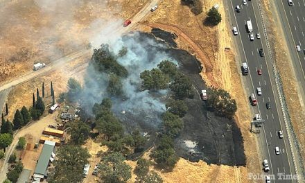 Bass Lake vegetation fire in El Dorado Hills halted at 3 acres