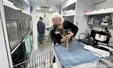 Final $187K gift from local Veteran Leaves a Legacy for Sac County Shelter Pets