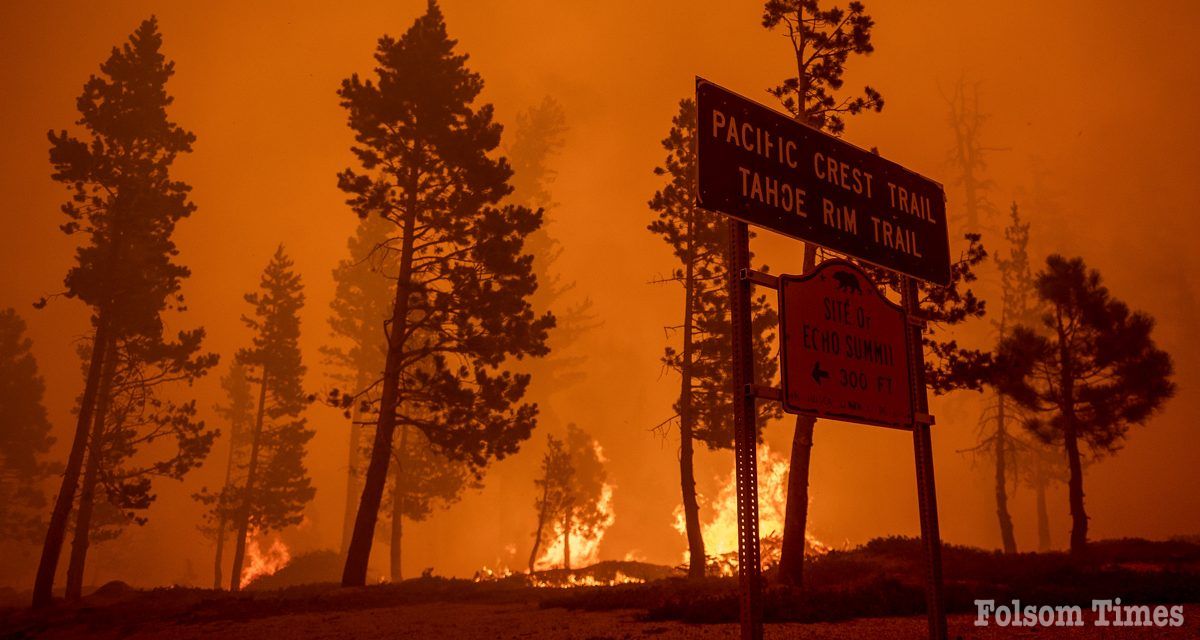 New tool tracks impact of area wildfires, aids in resilience planning