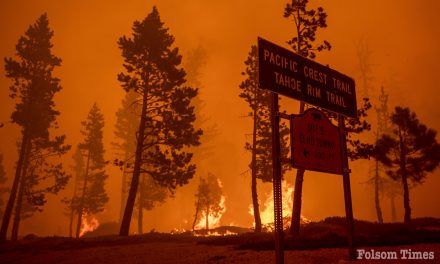 New tool tracks impact of area wildfires, aids in resilience planning