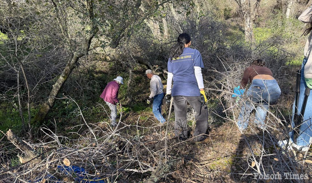 Friends of Folsom Parkways needs volunteers for fire fuel removal