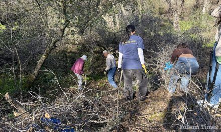 Friends of Folsom Parkways needs volunteers for fire fuel removal