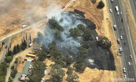 Bass Lake vegetation fire in El Dorado Hills halted at 3 acres