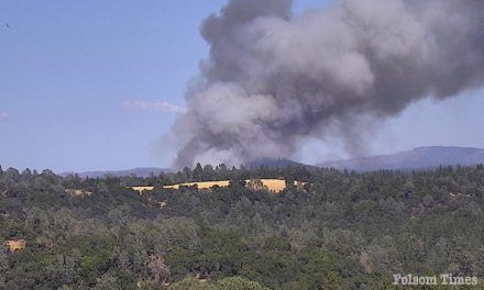 Fast moving Coyote Fire in El Dorado County forces evacuations