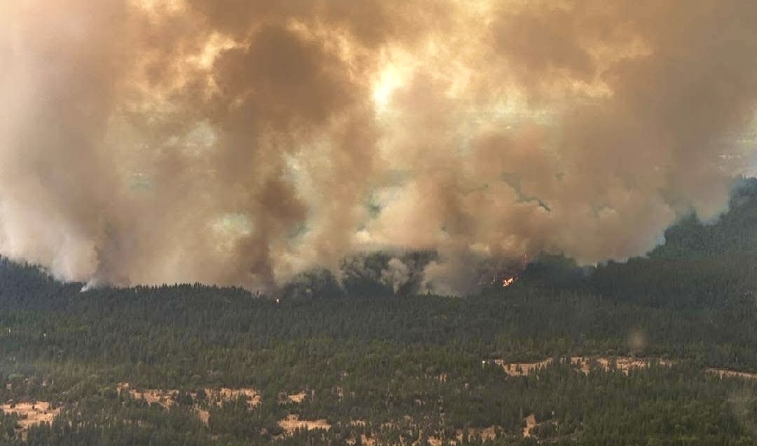 Firefighters gain 5% containment as Coyote Fire expands to 554 acres