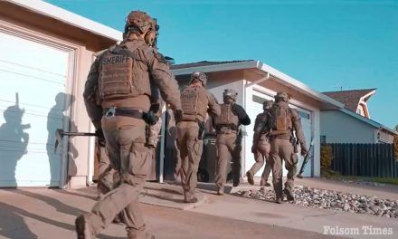13 online predators arrested in Sacramento Valley Hi-Tech Crimes Task Force sting
