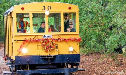 Pumpkin Patch Flyer delivers Folsom fall tradition once again