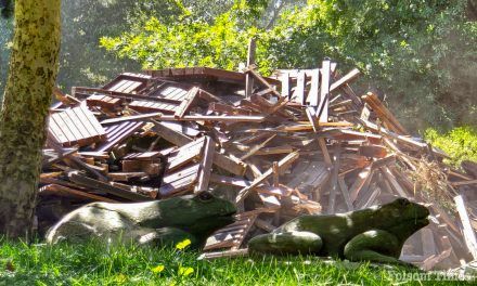 Demolition marks new beginning for Folsom’ Castle Park