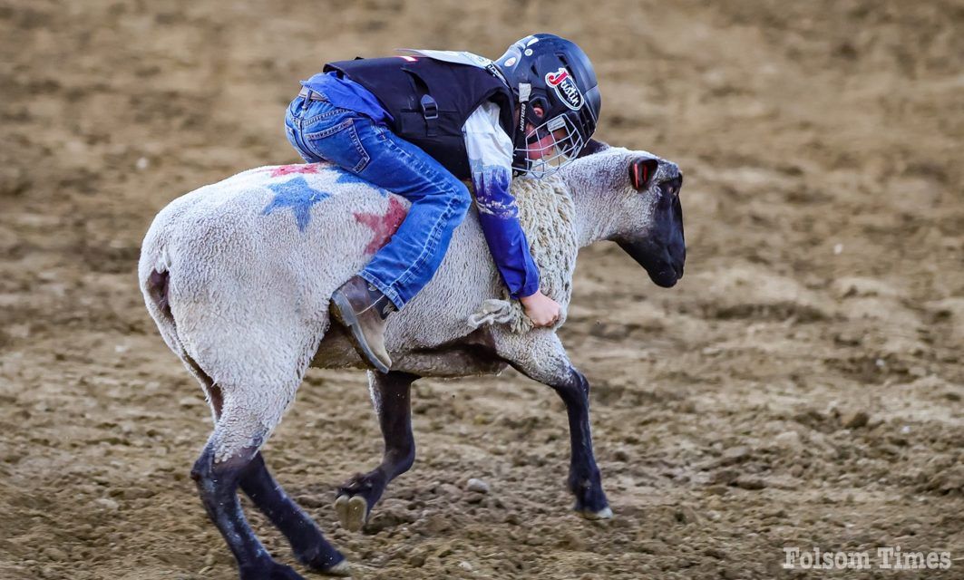 Mutton busting signups open for Oct. 4 Sheriff’s Rodeo in Folsom