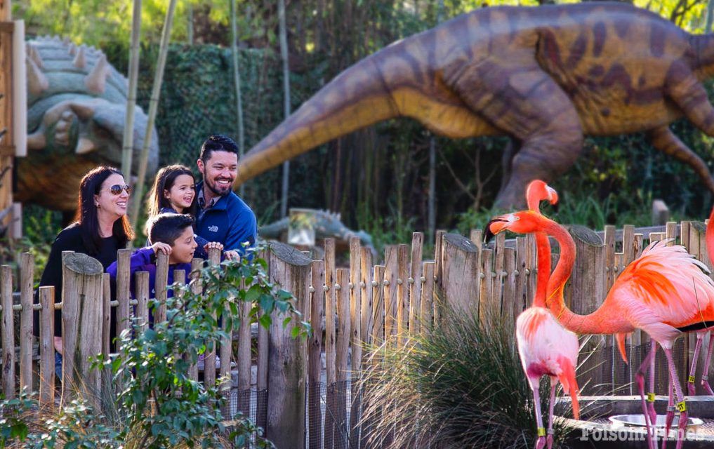 Sacramento Zoo announces plans to expand current location