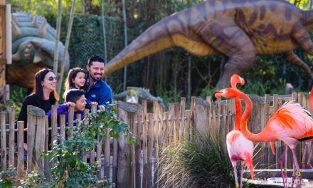 Sacramento Zoo announces plans to expand current location