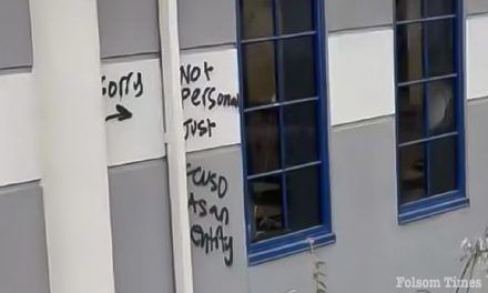 23 year old man arrested in Folsom school, business vandalism case