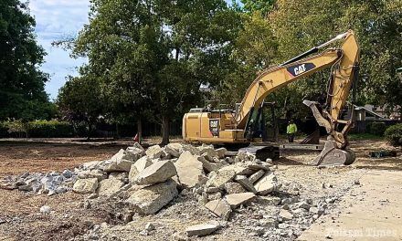 Folsom approves community-build contract for Castle Park replacement; reveal set for Oct. 29