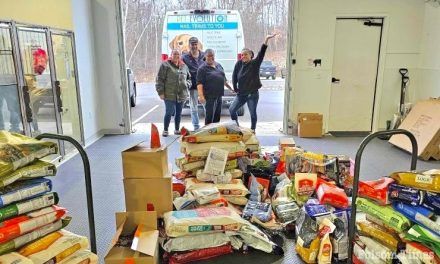 Pet Evolution Folsom launches Pet Food Drive to help those in need