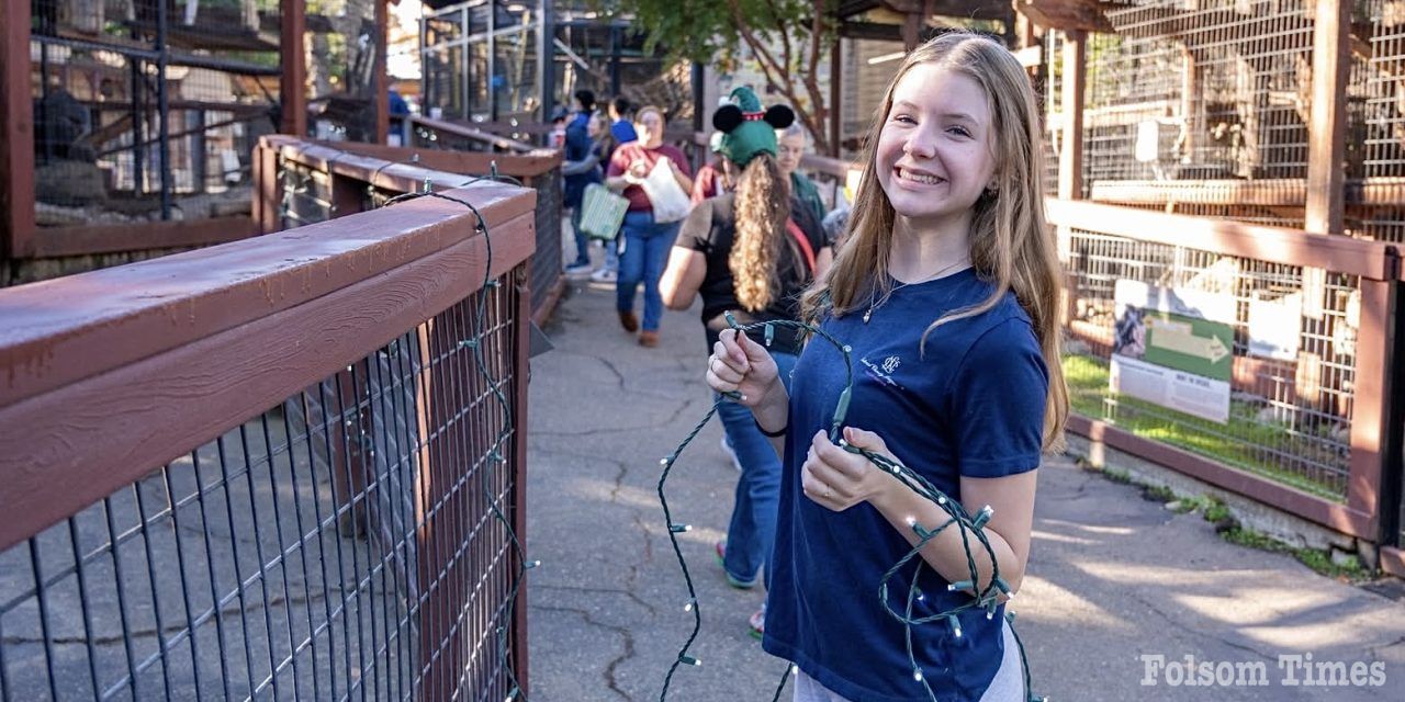 Volunteers deck the habitat for Folsom Wild Nights & Holiday Lights