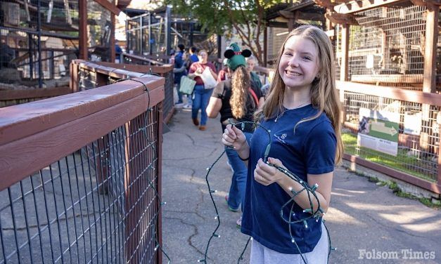 Volunteers deck the habitat for Folsom Wild Nights & Holiday Lights