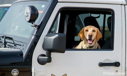 Folsom Dam Security Bureau mourns loss of retired K9 Astro