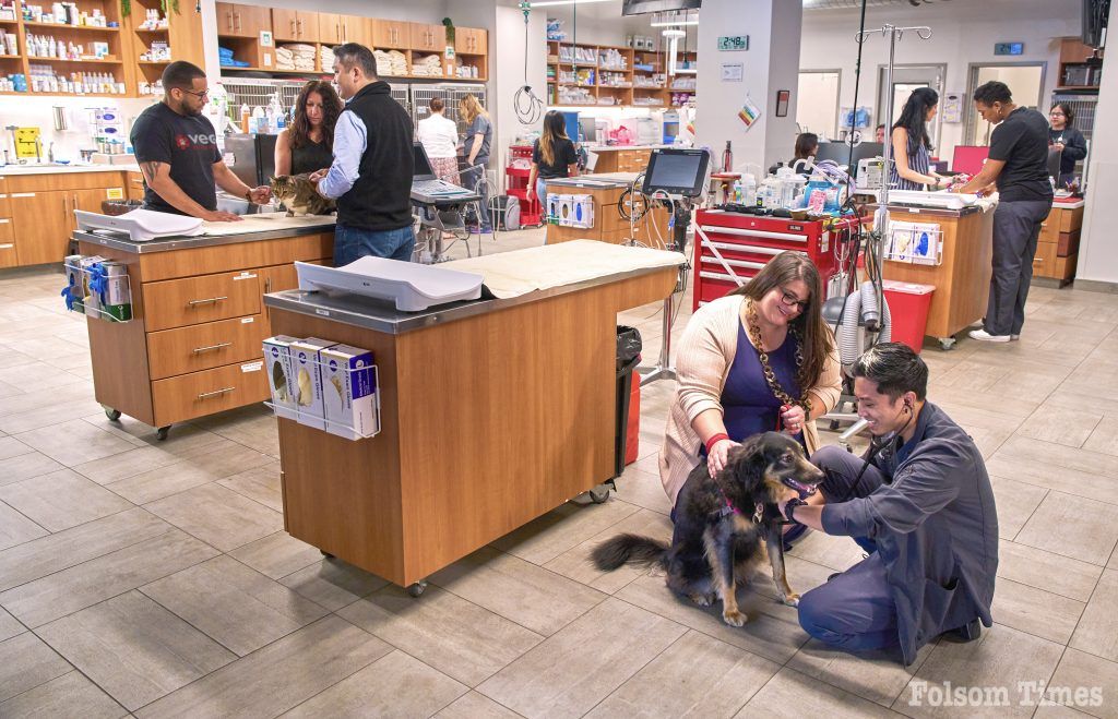 New Emergency Pet Hospital Brings 24 Hour Care to Folsom