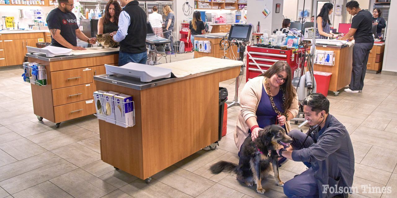 New Emergency Pet Hospital Brings 24 Hour Care to Folsom