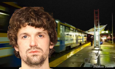 Felony charges for suspect in light rail infrastructure damage