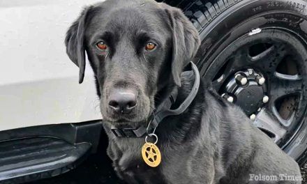 Folsom Police Department mourns the recent passing of K9 Trigger