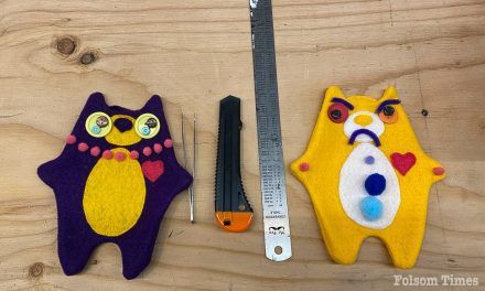 Folsom hosts Rare Bear Decorating Party ahead of upcoming City of Trees parade