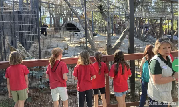 Deadline nears to become a Folsom City Zoo docent