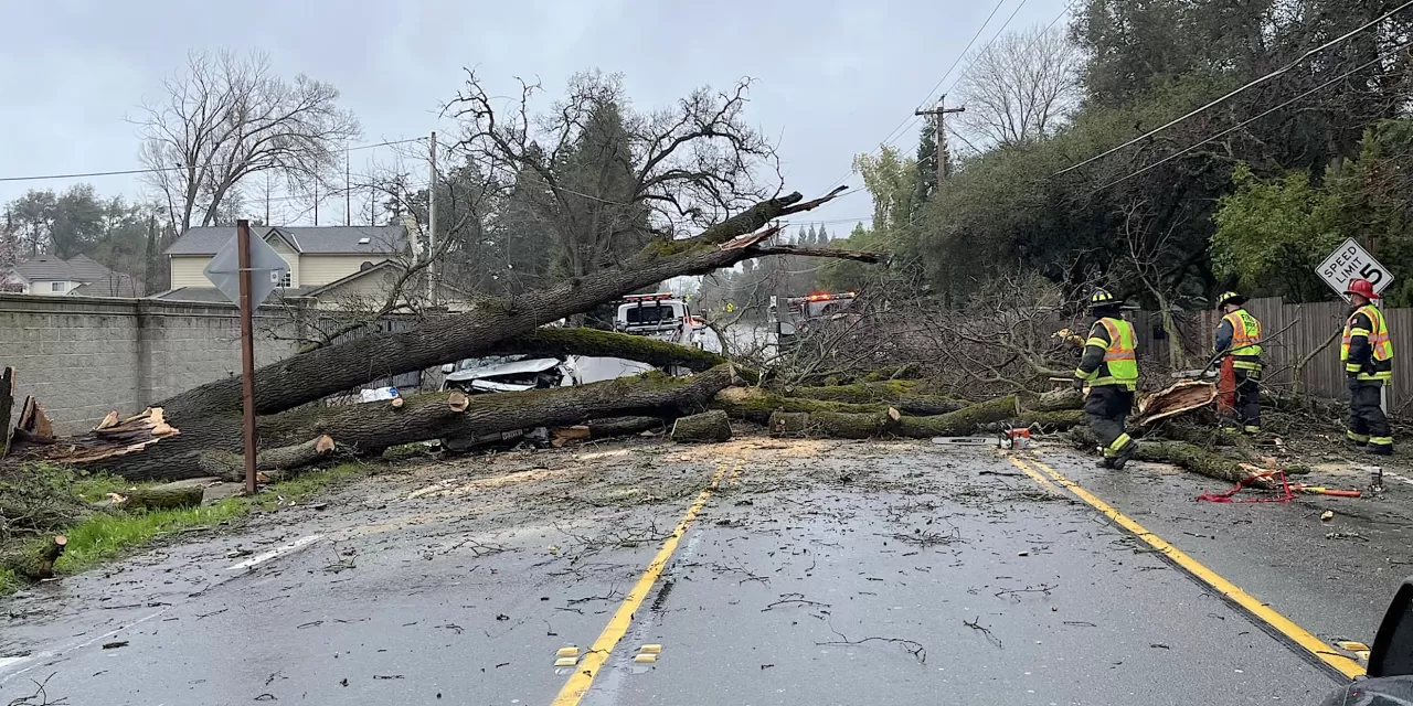 Two injured as tree falls across Auburn Folsom road 
