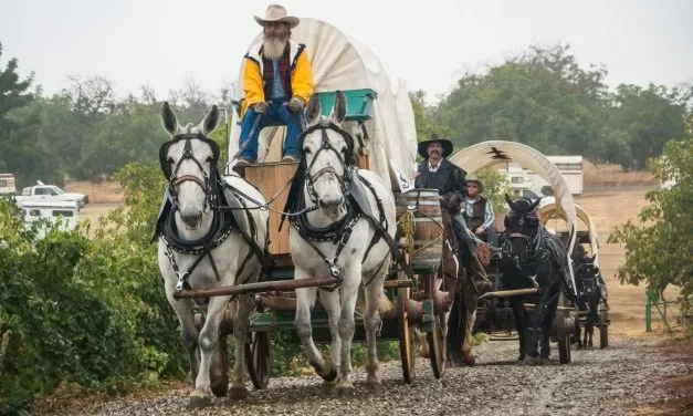 Kit Carson Wagon Train heads into Amador