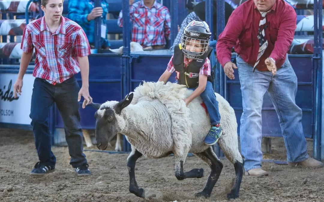 Folsom Pro Rodeo Mutton Busting sign ups open