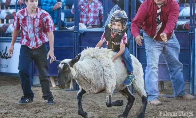 Folsom Pro Rodeo Mutton Busting sign ups open