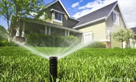 Folsom Ends Stage 3 Water Restrictions