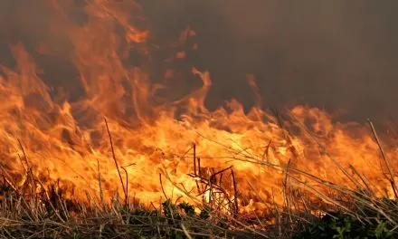 Vegetation fire near Orangevale bluffs Sunday evening 