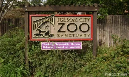 Federal inspection says Folsom Zoo fence non-compliant; city council to take action